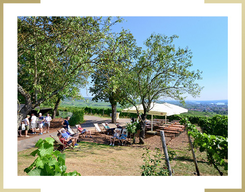 2025 07 schloss johannisberg goetheblick terrasse