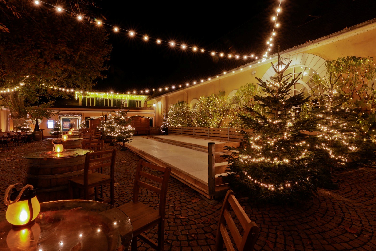 Mulled Wine & Winter Magic